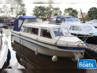 Viking 19
