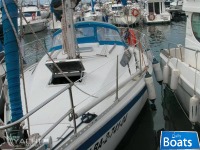 Gib'Sea 31