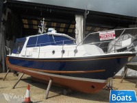 Nelson 29