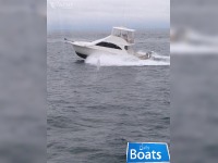 Ocean 42 Super Sport