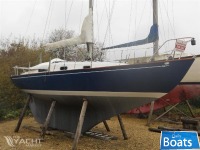Contessa 26