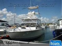 Carolina Classic 28