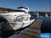 Orkney 590TT