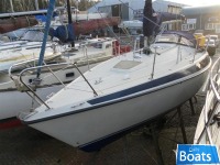Maxi 84