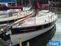 Cornish Crabbers 24