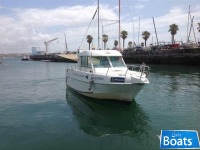 Goymar 860