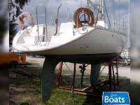 Atlantic 31
