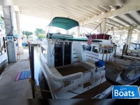 Mainship 31 Sedan Bridge