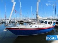 Koopmans 33