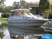 Chaparral 240 Signature