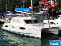 Robertson and Caine Leopard 38