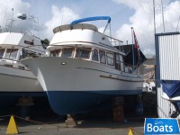 Albin 36