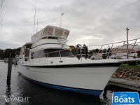 Gulfstar Motoryacht