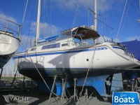 Kirie Kelt 40