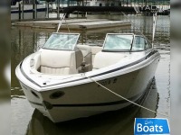 Cobalt 262