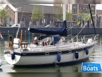 Trintella 38