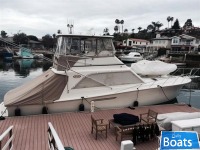 Ocean 48 SS
