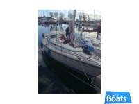 LM Mermaid 270