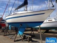 Seawolf 26 Mk 2