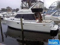 Bayliner 3288