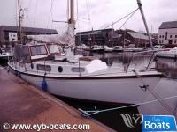 MACWESTER33 PELAGIAN