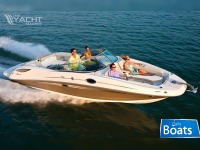 Sea Ray 300