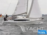 Delphia 31