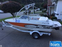 Campion Chase 550