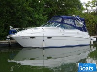 Campion 825