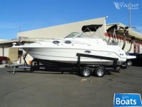 Campion Allante 805