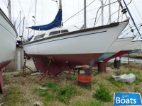 Hurley Hurley 27
