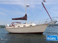 Island Packet Yachts
