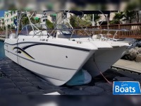 World Cat 250 DC