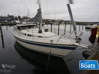 LM 28