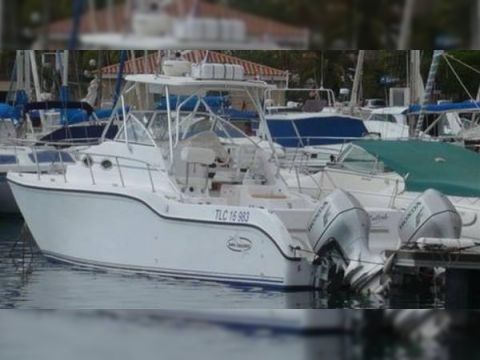 Baha Cruisers 296