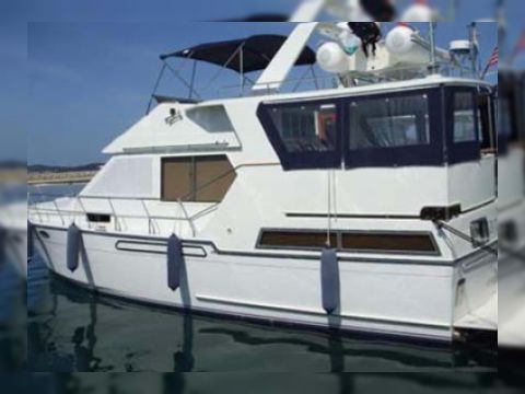 Angel Marine 45