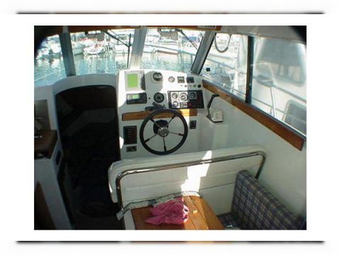 Goymar 800