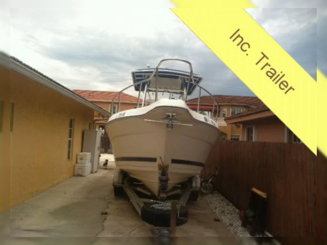 Cobia 25