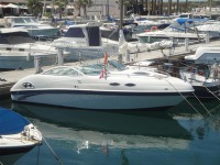 Celebrity 240 Cuddy Cabin