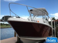 Pro Line 23 Express