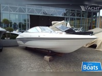 Campion Allante 565 BR OB