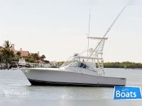 Luhrs 36 Open