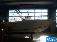 Robalo 180