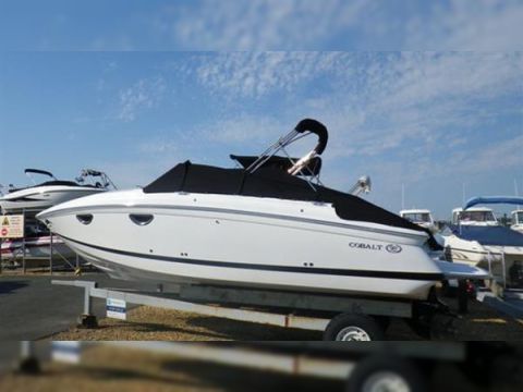 2011 Cobalt 243 kaufen