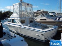 Bertram Flybridge Cruiser