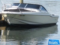 Scout Boats 202 Dorado