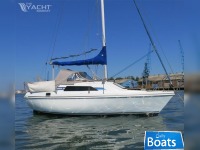 Hunter Horizon 232