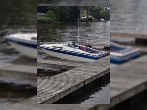 Buy Celebrity 224 SE | Celebrity 224 SE for sale