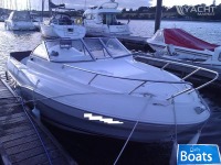 Quicksilver 620 Flamingo