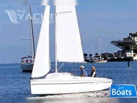 Hunter 216